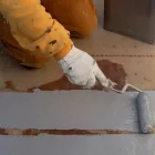 自主性